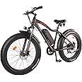DJ Fat Bike 750W 48V 13Ah Power Electric Bicycle, Matte Black, LED Bike Light, Suspension Fork and Shimano Gear