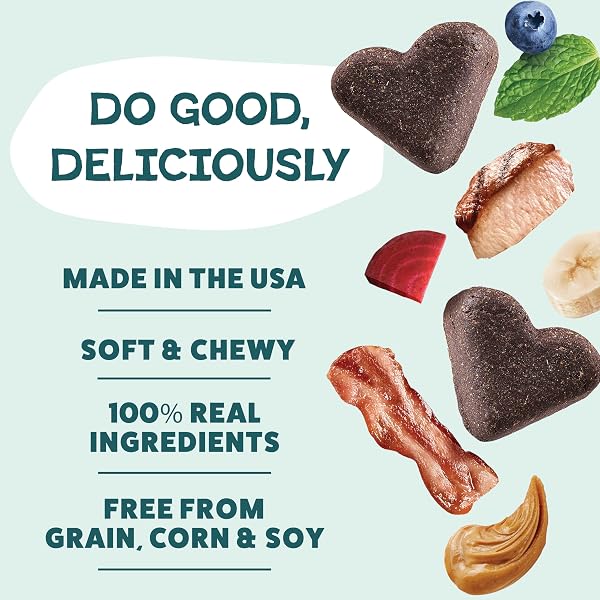 SHAMELESS PETS SOFT-BAKED DOG TREATS, VARIETY 5-PACK – NATURAL & HEALTHY DOG CHEWS FOR SMALL, MEDIUM & LARGE DOGS – BISCUITS BAKED & MADE IN USA, FREE FROM GRAIN, CORN & SOY