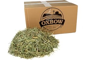 Oxbow Orchard Grass Hay, All Natural Grass Hay, Food for Pet Chinchilla, Rabbit, Guinea Pig, Hamster, Gerbil & Other Small Pets, Guinea Pig Food, Bunny Stuff, 25 lb. box