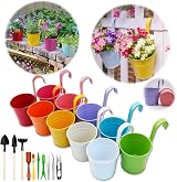 Giovara Hanging Plant Pot Large Metal Flower Pots with Detachable Hook