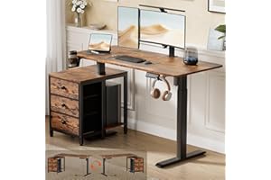 REAHOME Electric Standing Desk with Drawers, 47 x 24 Inches Height Adjustable Sit Stand Desk with Storage, 3 Memory Preset Ho