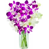 KaBloom-10White&amp;Purple Orchid Bouquet,Flowers for Valentine, Mother's Day