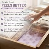ZYBUX Scented Drawer Liners - Lavender 12 Sheets 43x58cm for Freshness view 3