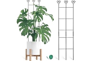 Coomin 2 Pack 32in Monstera Plant Support Stakes for Indoor Plants, Stackable Garden Trellis for Climbing Plants Outdoor, Metal Plant Climber Support for Pothos Philodendron Vine
