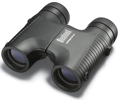 self adjusting binoculars