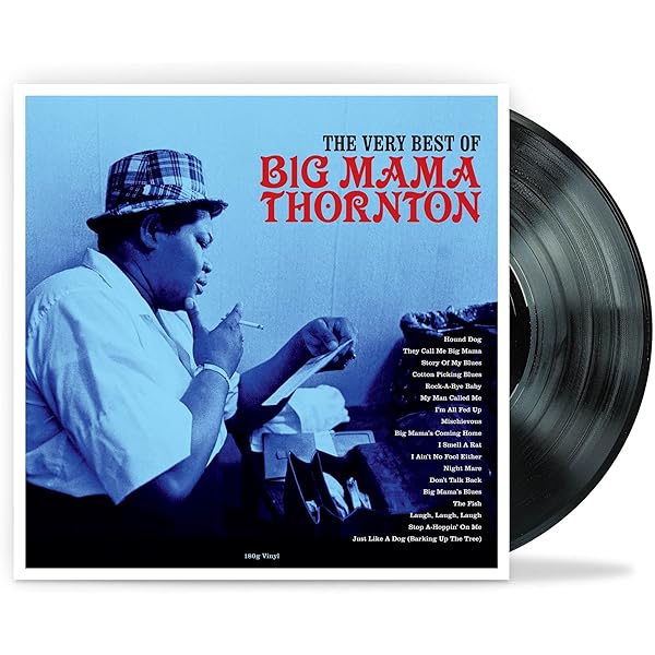 N.Ｙ.ビッグ・ママ・ブルース VHS 映画 レア 希少 ブラックムービー N.Y.ビッグ・ママ・ブルース VHS 映画 レア 希少 ブラックムービー