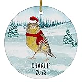 Santa Hat and Scarf Welcome Winter Wild Island