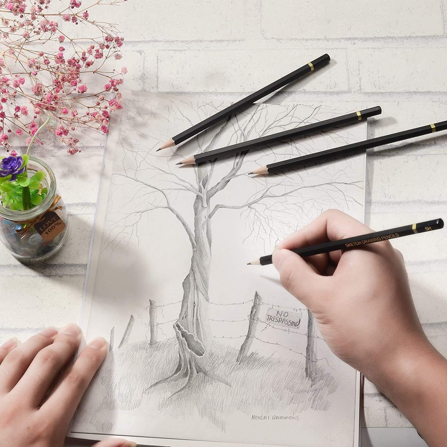 Professional Drawing Sketching Pencil Set - 24 Pieces Art Drawing Graphite Charcoal Pencils(14B - 7H), Ideal for Drawing Art, Sketching, Shading, for Beginners & Pro Artists : Office Products