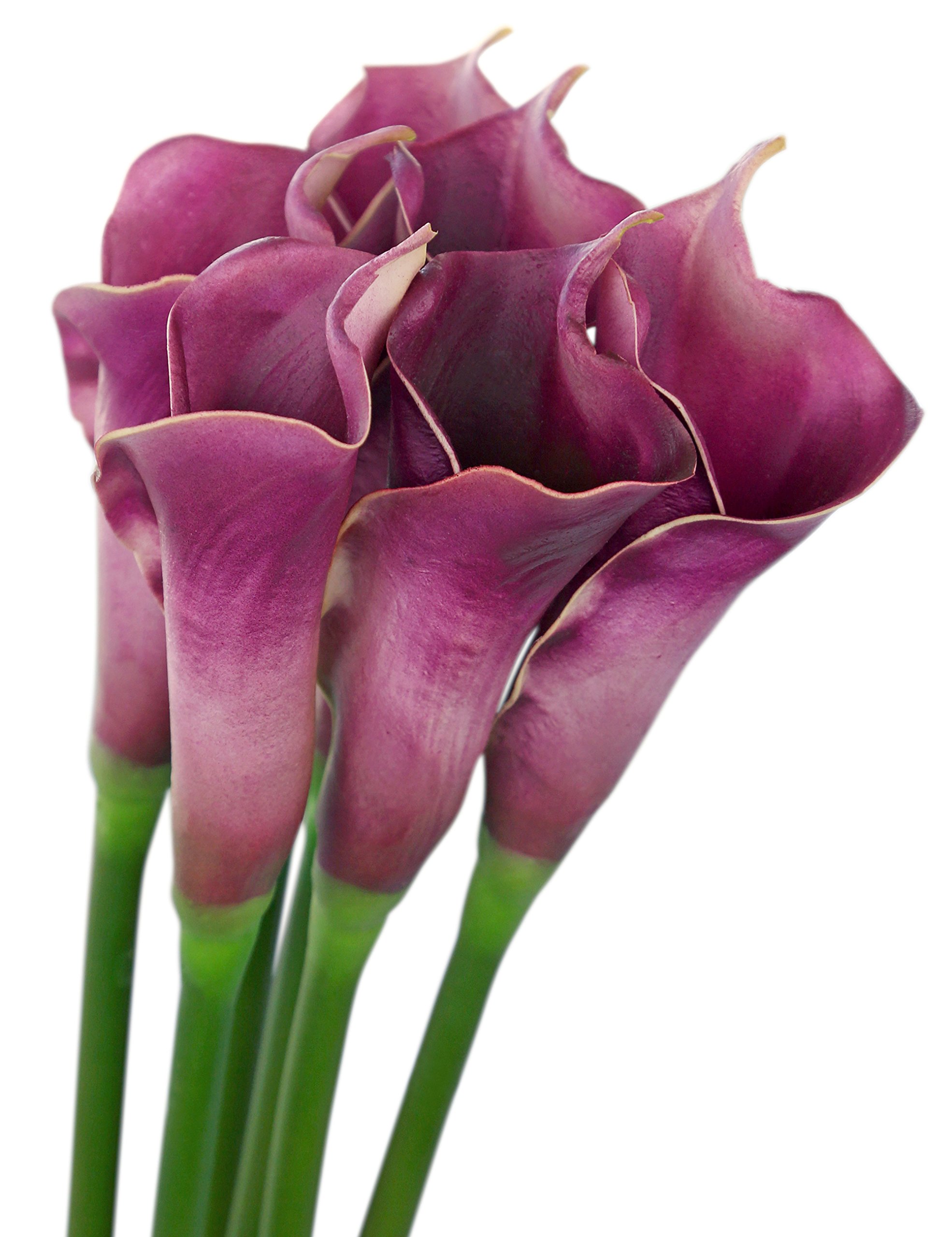 FiveSeasonStuff 6 Long Stems of Real Touch Artificial Purple Calla Lily Flowers & Bouquet, for Home Shop Office Restaurant Wedding Party Décor/DIY Flower Arrangement Decoration, 64cm (25.2 inches)