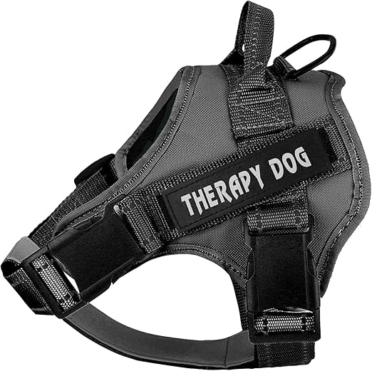 therapy dog vest
