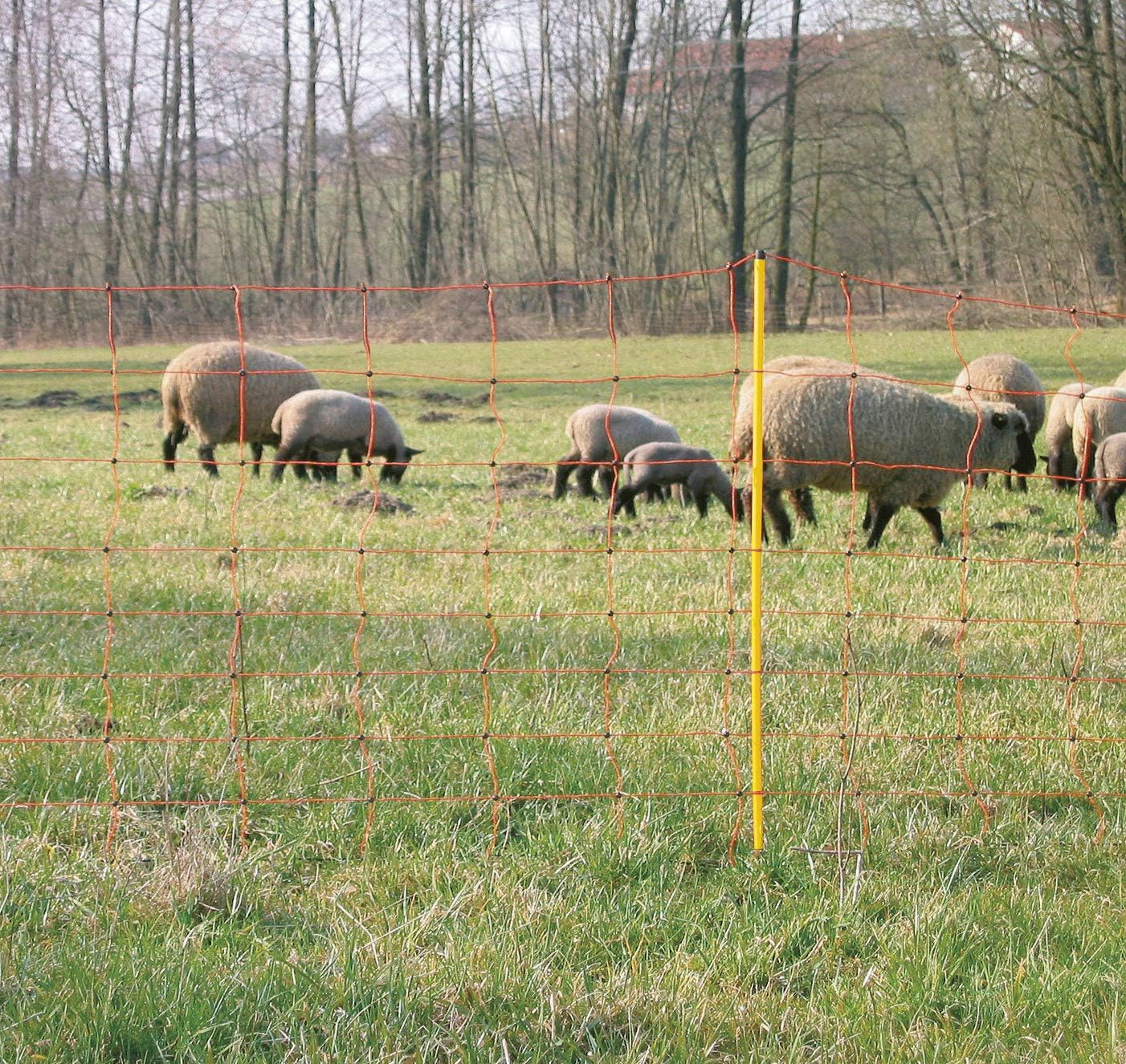 ossitocina per capre