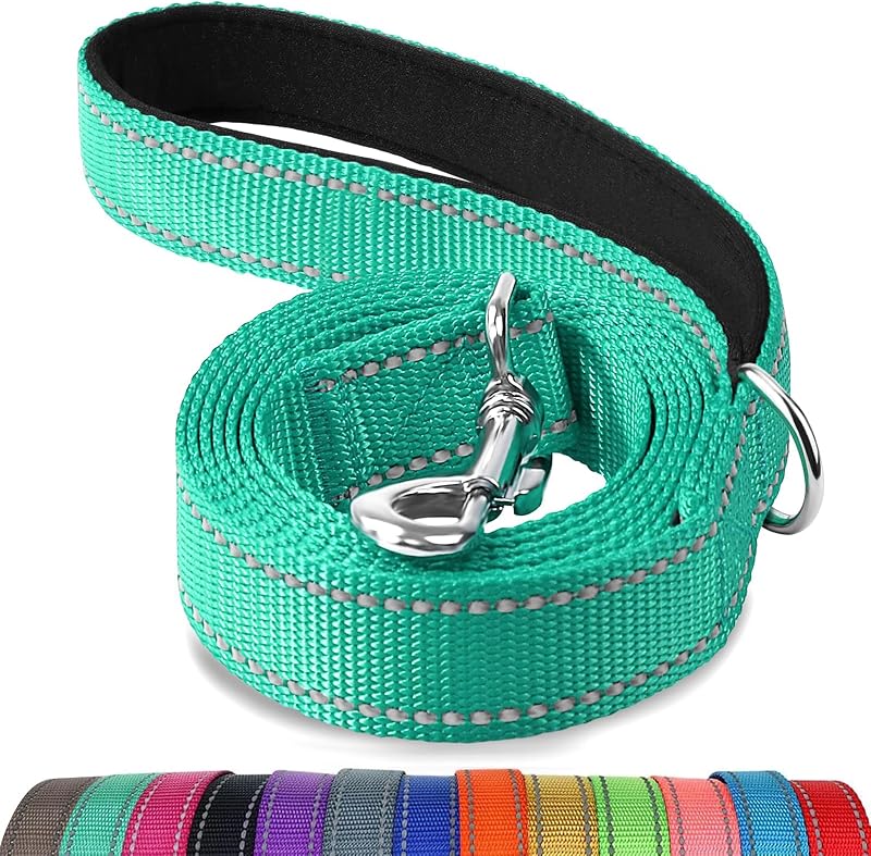 Joytale Padded Handle Dog Lead Double-Sided Reflective Nylon 1.2m Teal