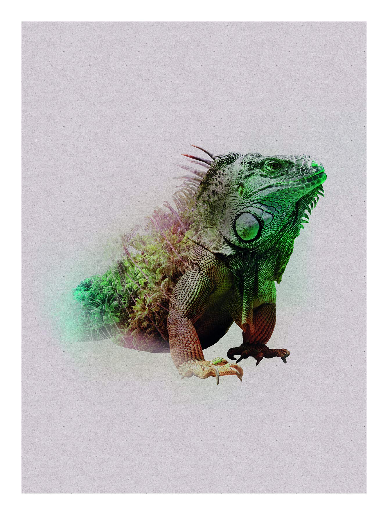 Komar Wall Picture | Animals Paradise Iguana | Poster Picture Living Room Bedroom Decoration Art Print | No Frame | P083C-30x40 | Size: 30x40 cm (Width x Height)