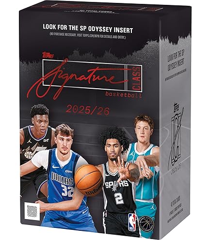 Amazon.com: 2019-20 Panini NBA Hoops Basketball Premium Stock