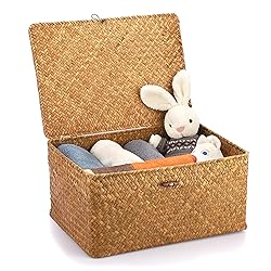 Hipiwe Wicker Shelf Baskets Bin with Lid, Handwoven