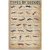 Geckos Knowledge Metal Tin Signs Types Of Geckos Funny Posters School Education Reptile Club Pet Shop Cafe Living Room Kitchen Home Art Wall Decor Plaque Gifts