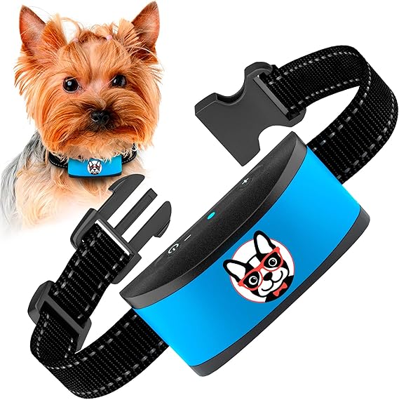 small dog owners annoying