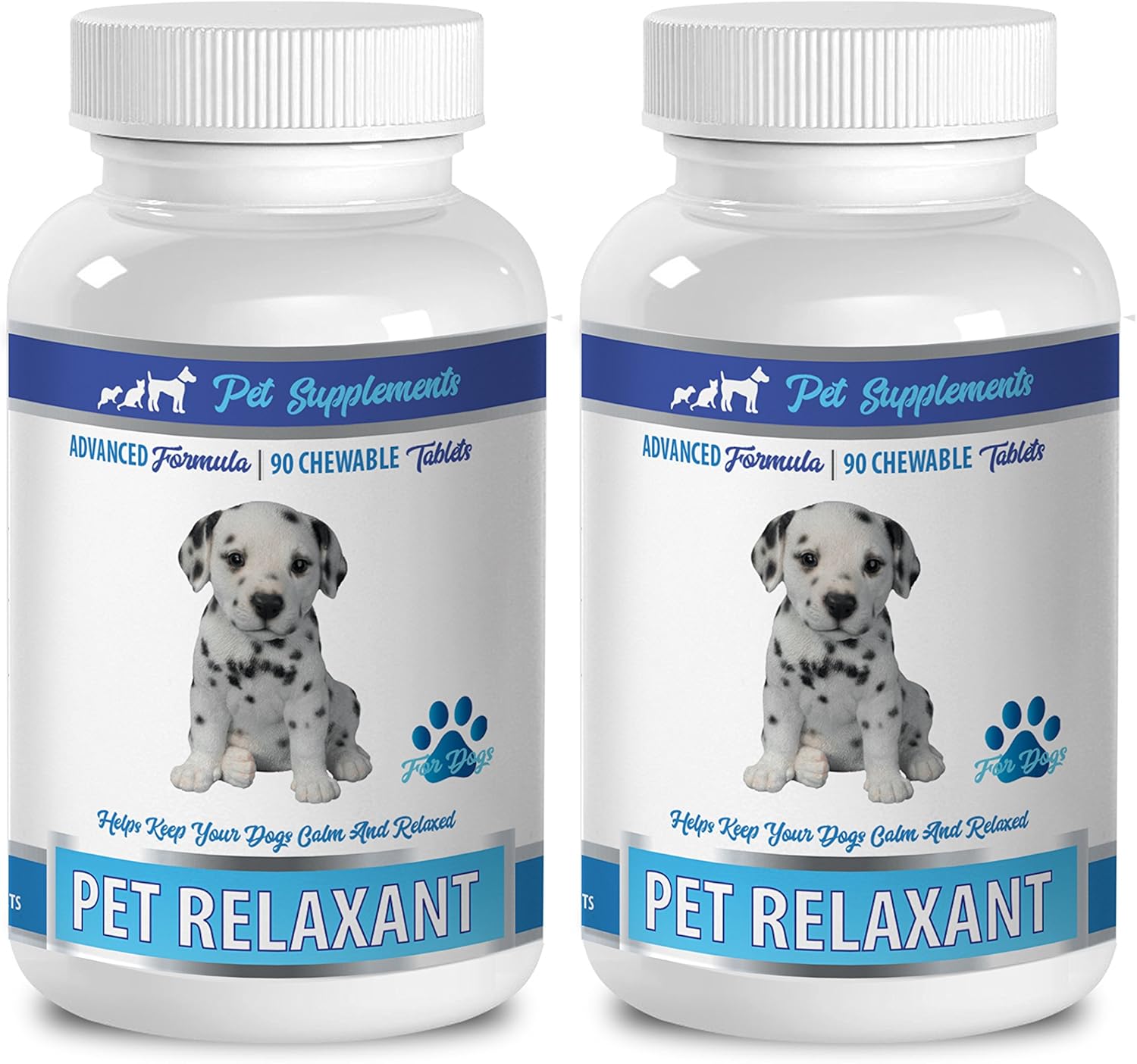 which type of dog are you