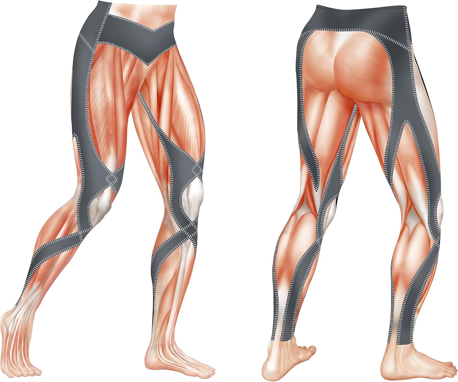 CW-X Women's Mid Rise Full Length Stabilyx Compression Legging Tights : Clothing