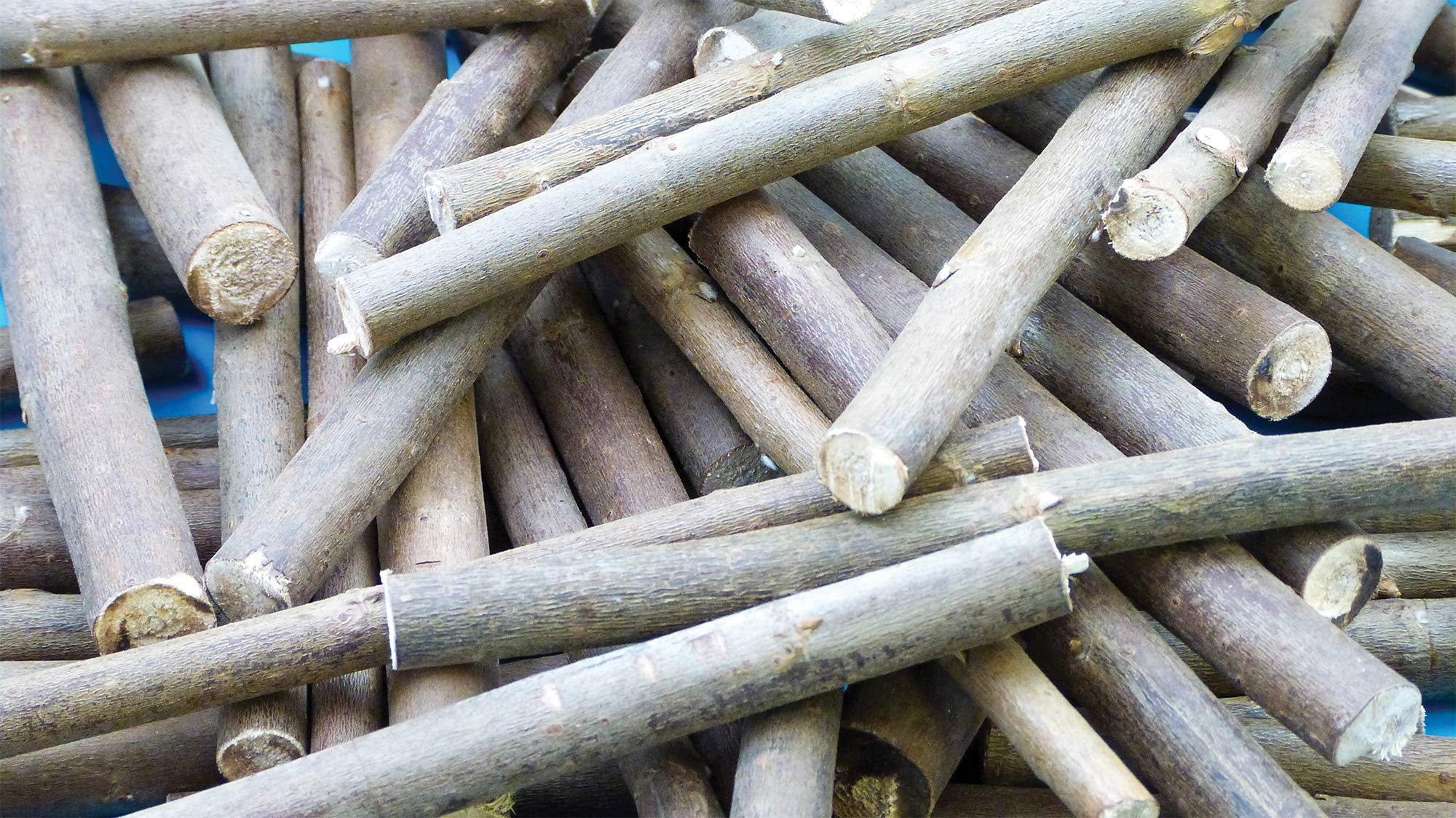 Baker Ross AF935 Natural Willow Branches, Ideal for Arts and Crafts Projects, Collages or for Decorations (Pack of 30), 15cm