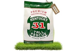 DLF X-Seed Oregon Grown Kentucky 31 Tall Fescue Grass Seed for Sun and Shade Drought-Resistant Lawn for High Traffic, Forage & Turf Grass – Designed for Extreme Durability & Retaining Moisture – 5 lb Bag
