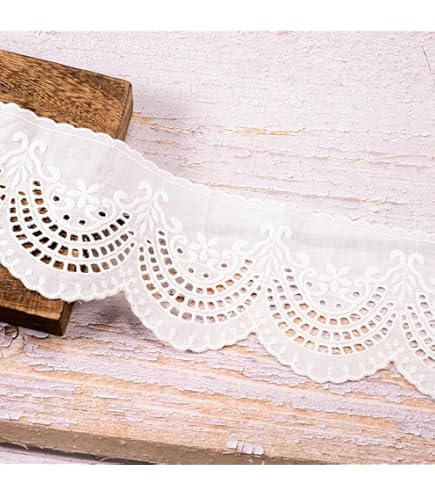Amazon.com: VU100 Scalloped Eyelet Beige Cotton Lace Ribbon Trim