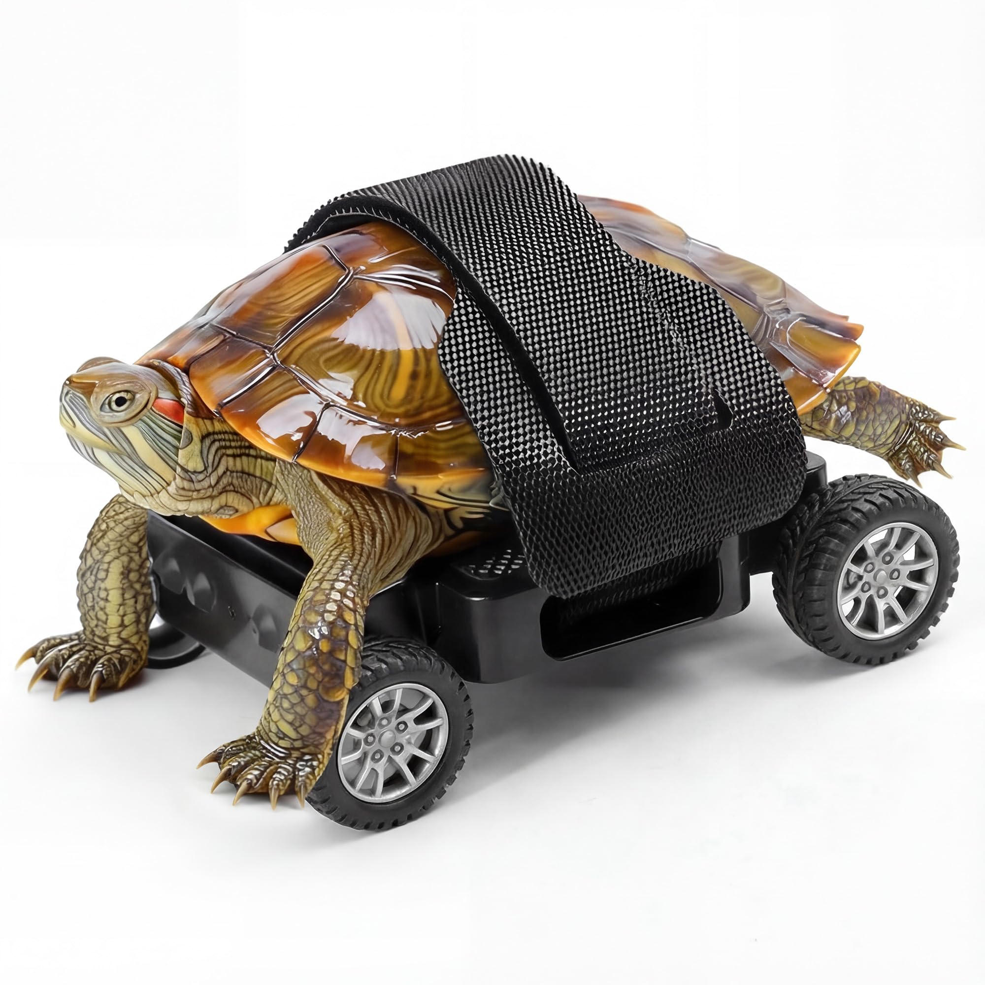 Photo 1 of Adjustable Turtle Skateboard Playing and Training Toys Set, Full Wheel Stable Support Velcro Fixing Design, Toy for Small Reptiles & Pets (M)