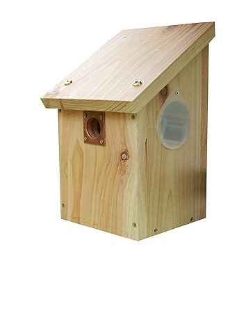 Wildlife World CRNB Kamerafertiger Nistkasten - inklusive Kameraklemme