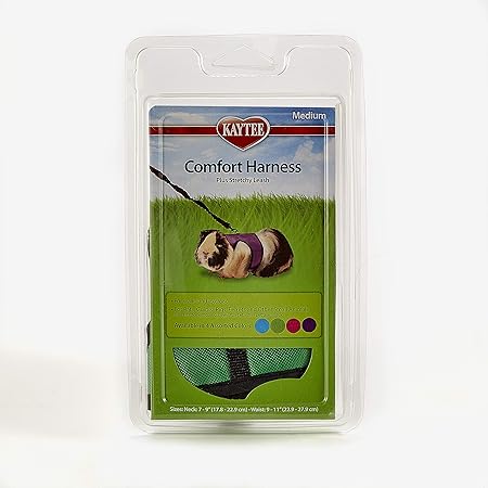 how to know if your guinea pig is happy