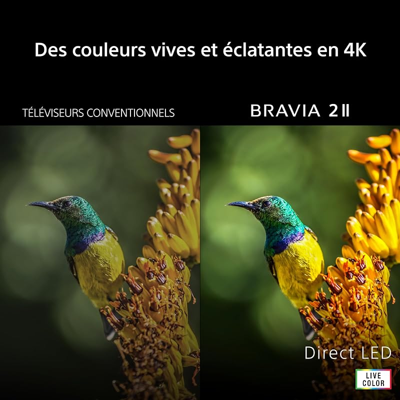 BRAVIA 2ⅡTV 50 Pouces; Smart TV 4K (Google TV); processeur X1; Conversion ascendante 4K; Compatible Dolby Atmos et DTS:X; Compatible PS5; modèle 50S25M2; année 2026 — photo 2 sur 8