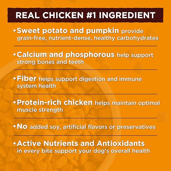 NATURE’S RECIPE SMALL BREED DRY DOG FOOD, CHICKEN, SWEET POTATO & PUMPKIN RECIPE, 4 POUNDS, GRAIN FREE