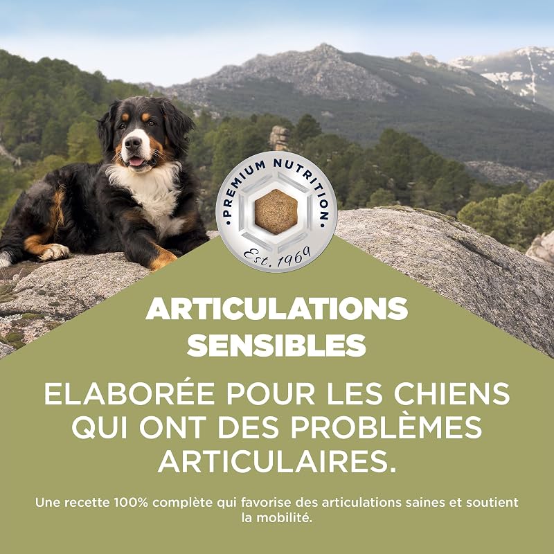 Sensitive Joints Aliment pour Chiens au Poulet - Aliment Sec Special Care pour Chiens aux articulations sensibles, favorisant la mobilité, 2,3 kg