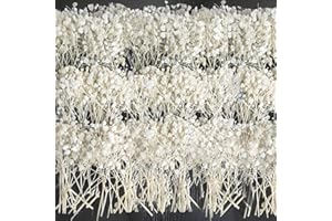 KOCEKO 100 PCS White Pressed Dried Baby's Breath Flowers Bulk - 100% Natural 5'' Flat Real Dry Mini Gypsophila Flower Branches for Wedding, Hair Accessory, DIY Floral Resin Art, Home Party Decor
