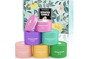 WarmEmbrace Scented Candles, Candle Set of 6 Packs, Candles for Home Scented, Scented Candles for Women and Men, Lavender Candle, Over 96+ Hours of Burn Time, Holiday Anniversary Present
