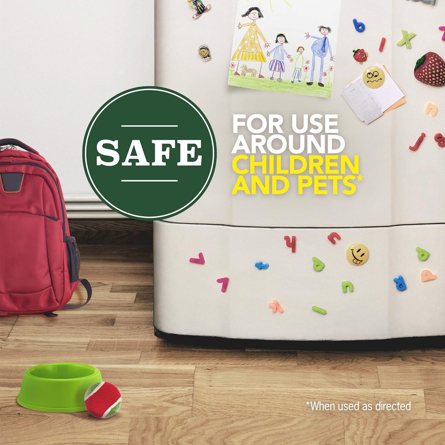 Raid Ant & Roach Killer Spray for Listed Bugs, Insect, Spider, For Indoor Use, Essential Oils, Child & Pet Safe, 11 Oz, Pack of 1: Health & Personal Care