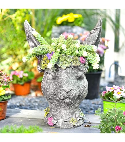 Amazon.com: hvfun Rabbit Planter for Succulents – Indoor Outdoor