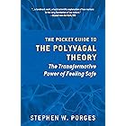 The Pocket Guide to the Polyvagal Theory: The Transformative Power of Feeling Safe (Norton Series on Interpersonal Neurobiolo