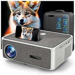 Outdoor Projector 4K,DIPIKPRJ P8 1300 ANSI WiFi 6