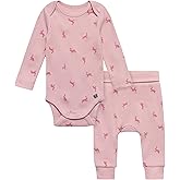 Modern Moments by Gerber baby-boys Long Sleeve Bodysuit and Pant Set
