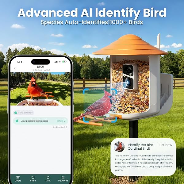 SOLIOM BF09 BIRD FEEDER WITH CAMERA WIRELESS OUTDOOR,SMART FEEDER CAMERA WITH AI IDENTIFY SPECIES,BACKYARD WATCHING GIFT,AUTO RECORD BIRD VIDEO,INSTANT NOTIFICATIONS, US