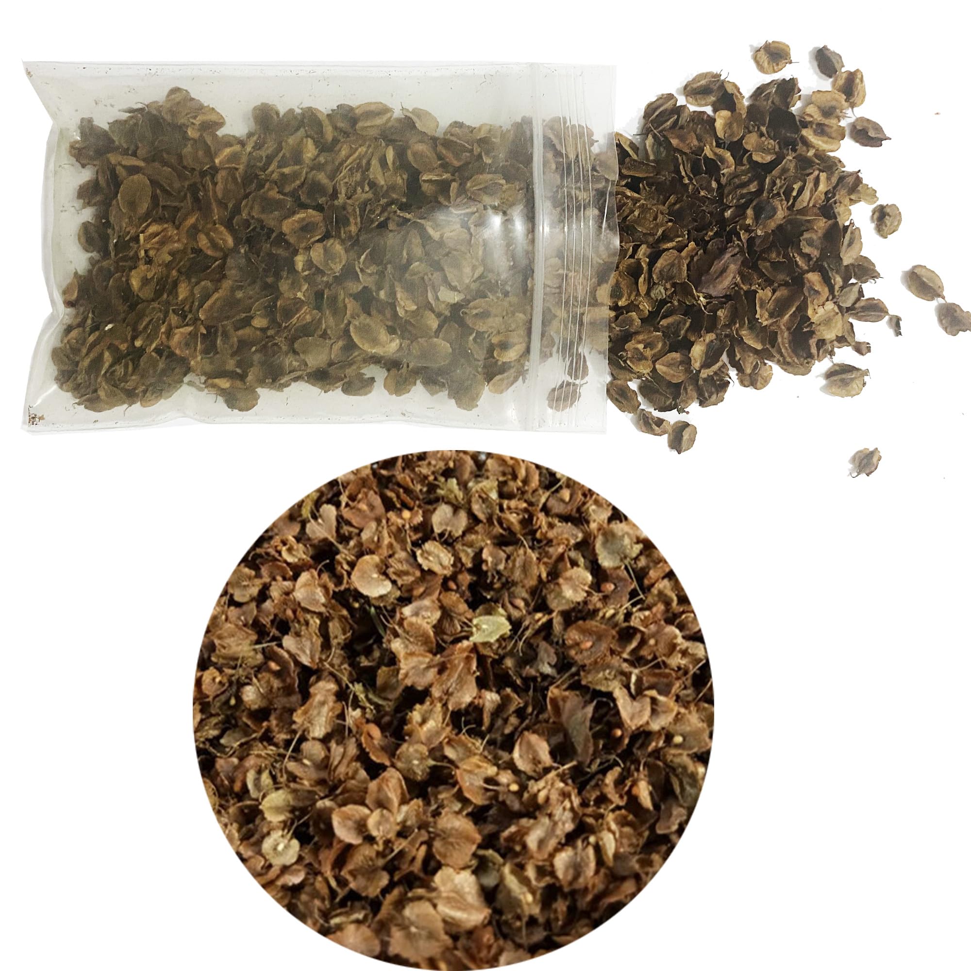 Cayway 1 Pack Realistic Miniature Leaves Simulation Leaves for DIY Railway Fairy Garden Simulation Vine for Fairy Garden Diorama Scenery Landscape Layout