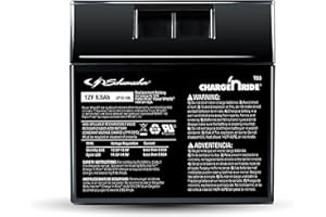 Schumacher Electric 12V Battery for Ride on Toys - TB3 12V 9.5 Amp Hours & Replaceable Fuse - Rechargeable 12V Ride On Replacement Battery for Fisher-Price Power Wheels Vehicles - Safe & Easy to Use