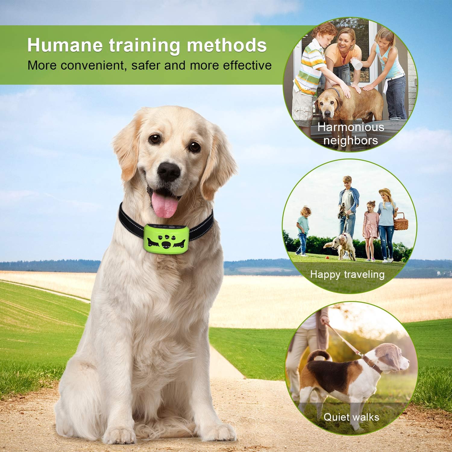 Dog No Barking Collar (Green) : Pet Supplies
