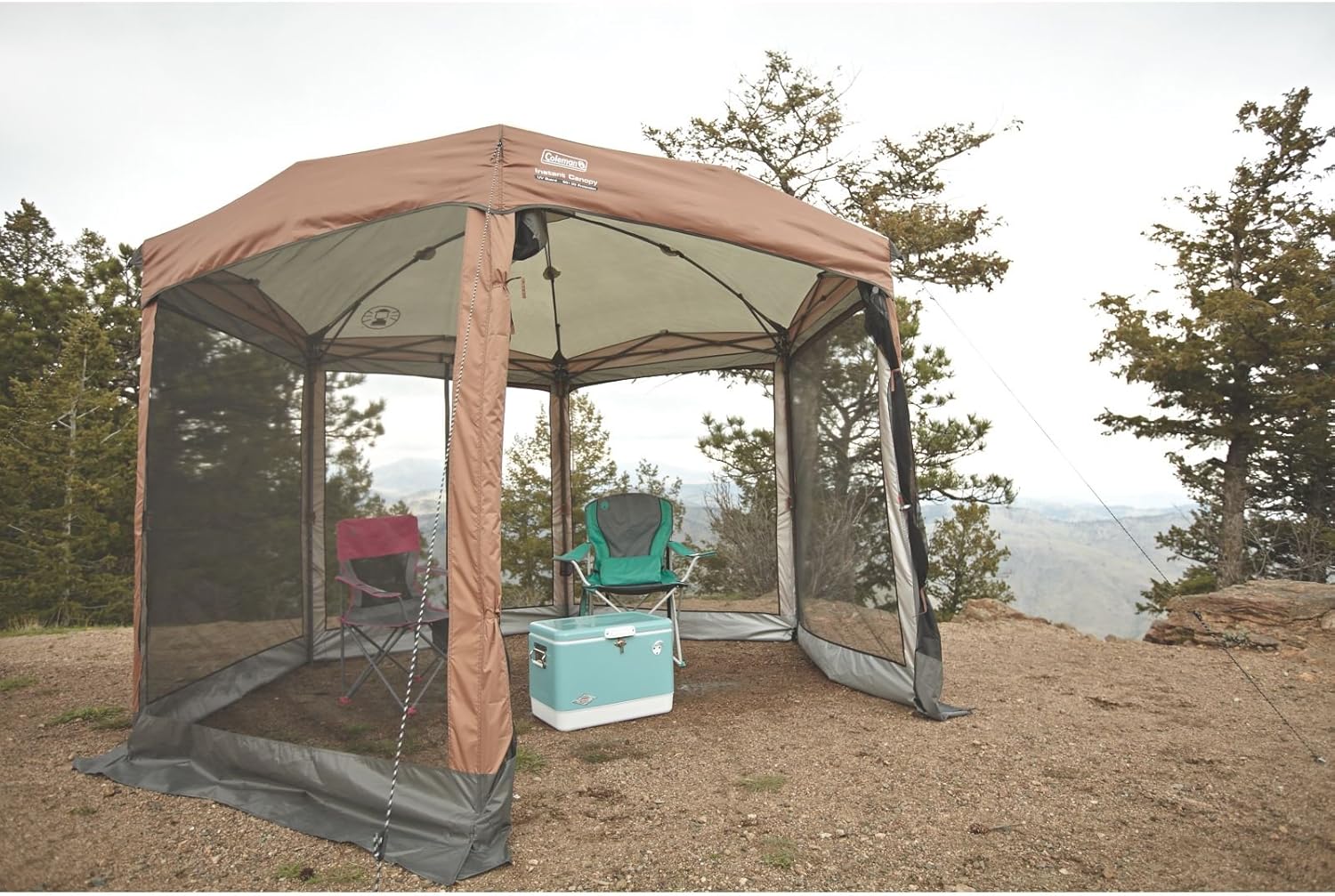 Coleman Screened Canopy Tent with Instant Setup | Outdoor Canopy and Sun Shade with 1 Minute Set Up: Sports & Outdoors