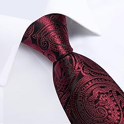 DiBanGu Silk Paisley Ties for Men Woven Necktie and