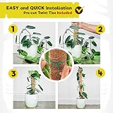 YAUNGEL Moss Pole 2 Pcs 41CM Coir Totem Pole with 20M Twist Ties view 6
