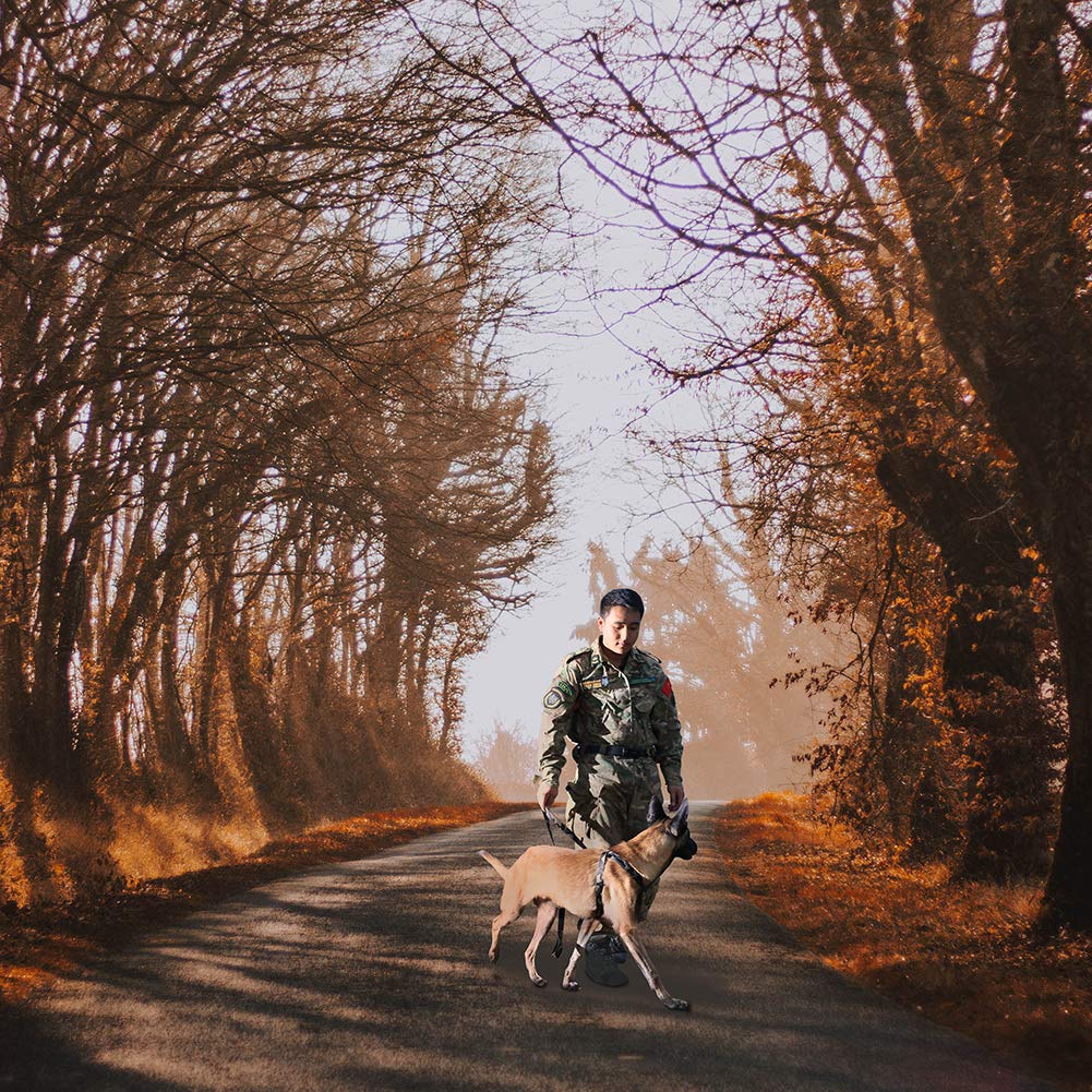 vAv YAKEDA Dog Leash Harness Set Step-in Dog Chest Strap Adjustable Durable Anti-Twist for Small Medium Large Dog Walking Training Running (S (16.9\