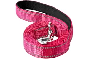 Erbine 6FT Reflective Nylon Dog Leash with Soft Padded Handle for Walking, Running and Training, Supports Small Medium and Large Dogs (Hotpink, 3/4Inch Wide)