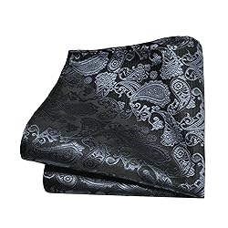 GUSLESON Mens Grey Tie for Wedding Silk Paisley