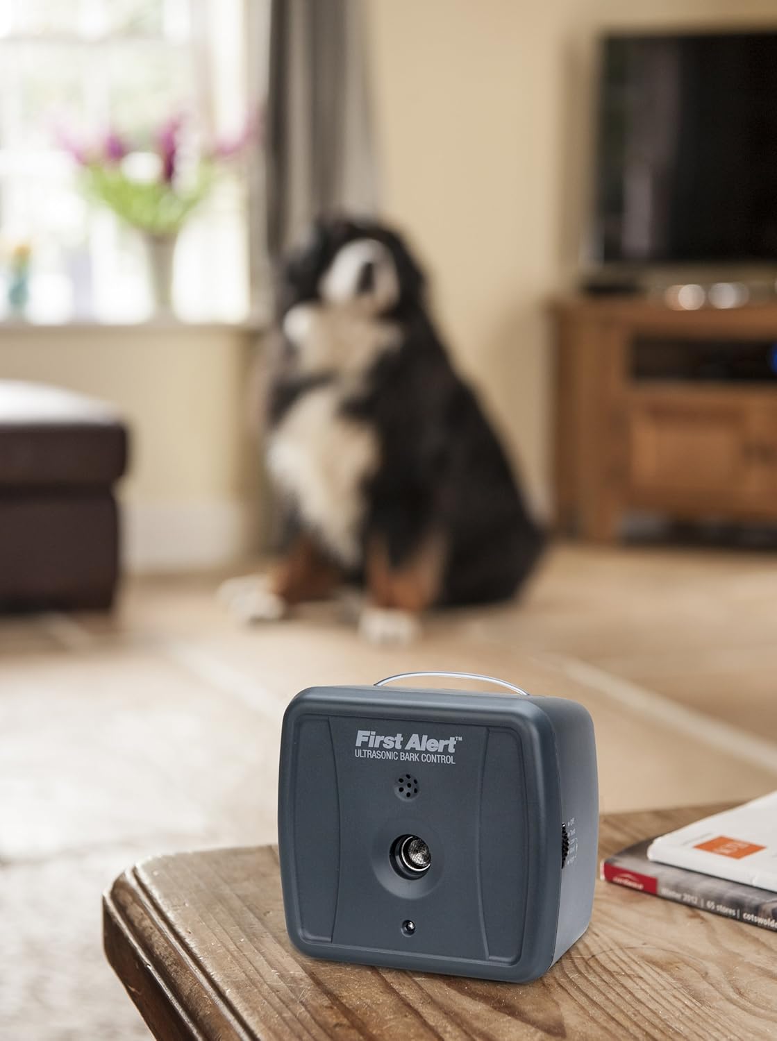 first alert bark genie automatic ultrasonic bark deterrent